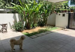 Coronation Road West (D10), Semi-Detached #484271771